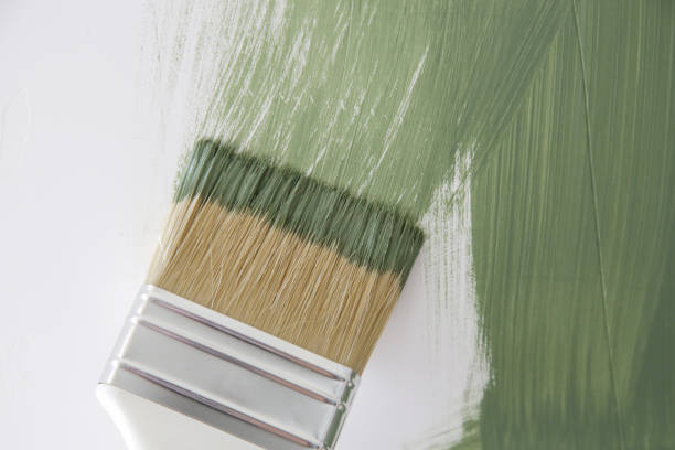  East Douglas, MA Mold Removal Pros