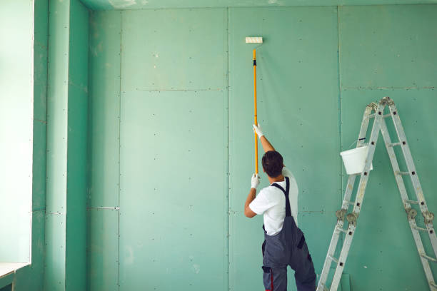 Best Mold Damage Restoration  in East Douglas, MA