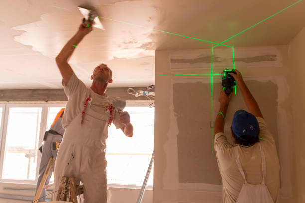 East Douglas, MA Mold Removal Company